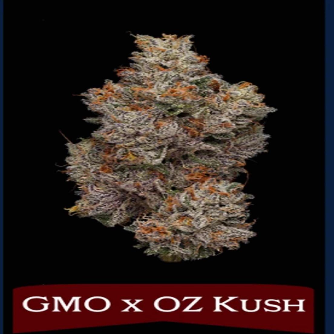 Northern Harvest - GMO X OZ KUSH 3.5G - INDOOR FLOWER