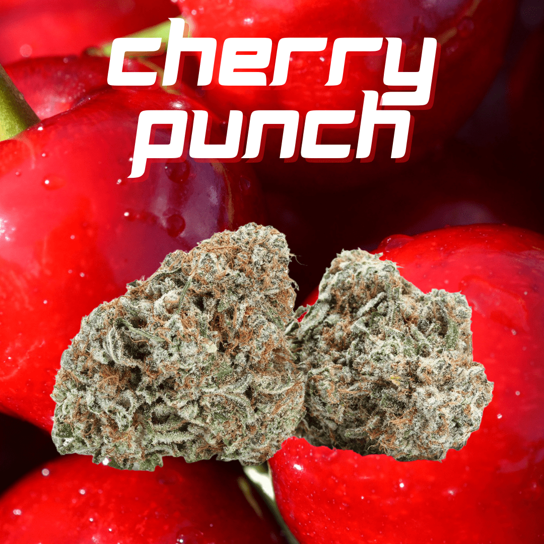 DAZE - Cherry Punch (1 Oz)