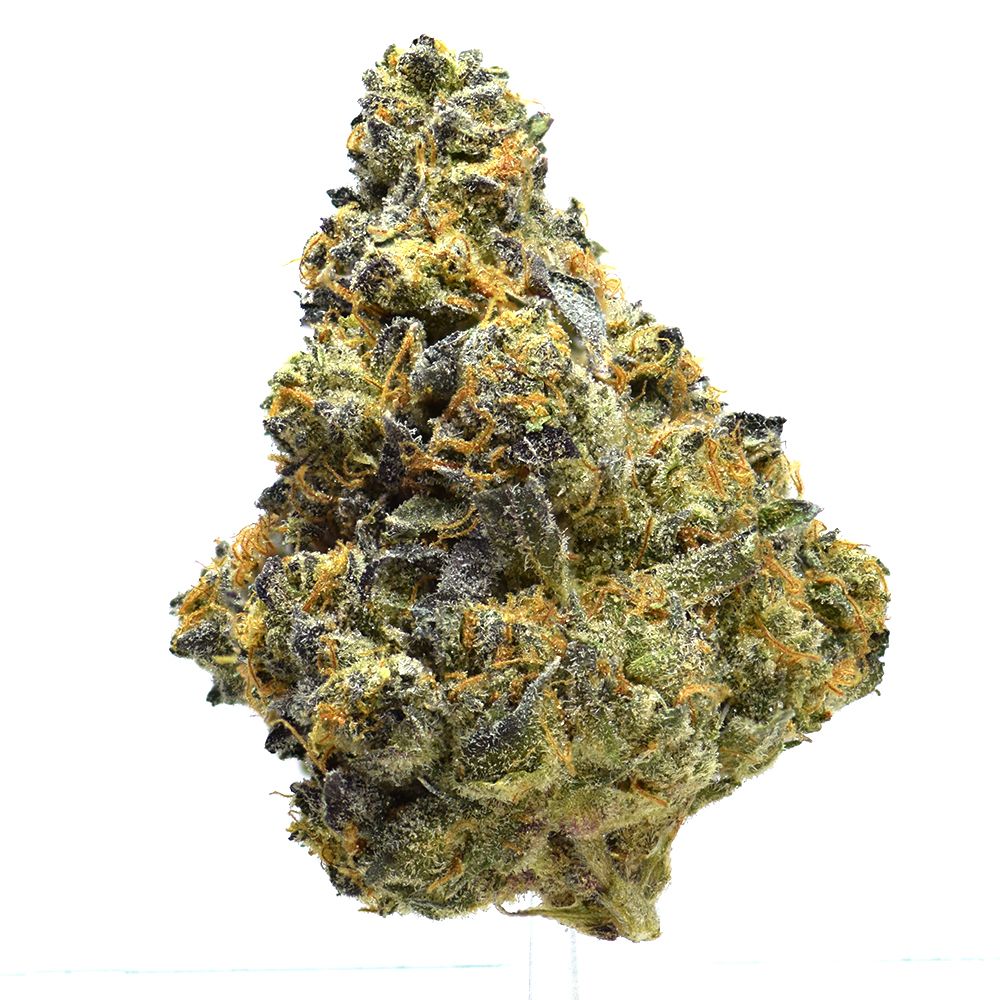 Apple Fritter | NEW!