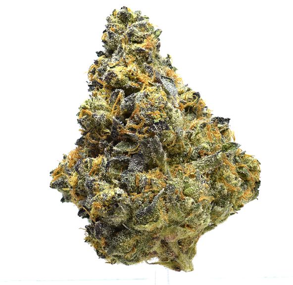 Apple Fritter | NEW!