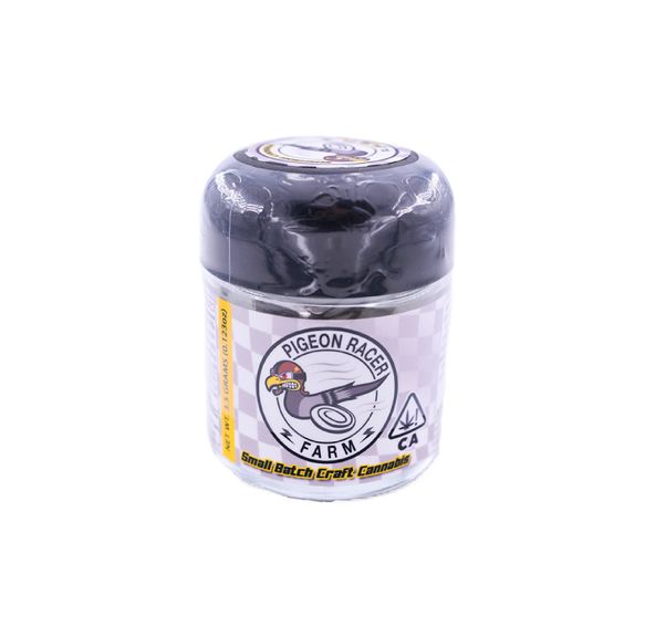 Pigeon Racer Flower Dolce Gasolina 3.5g