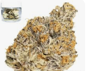 NORTHERN EMERALDS OPAL OASIS 3.5G CONNOISSEUR FLOWER INDOOR TOP SHELF INDICA