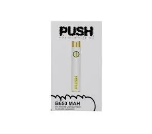 PUSH - White 510 Battery