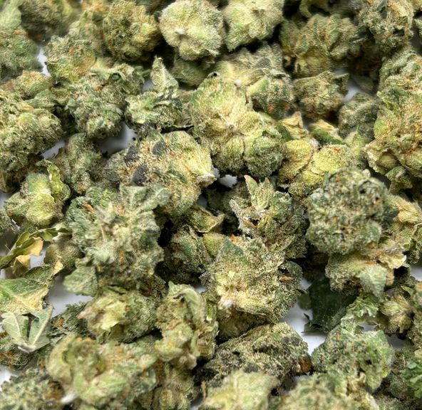 Animal Cookies - Smalls - Tier 4