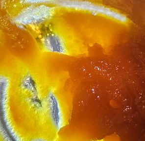 Ace Ultra - Dab - Dragon Fruit Bliss - 1G