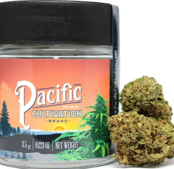 Pacific Cultivation - Purple Gelato 8th (3.5g)