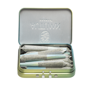 Autumn Brands | Prerolls | 10 x .36g | Lemon Love