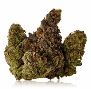 Garlic Sherb $180 oz