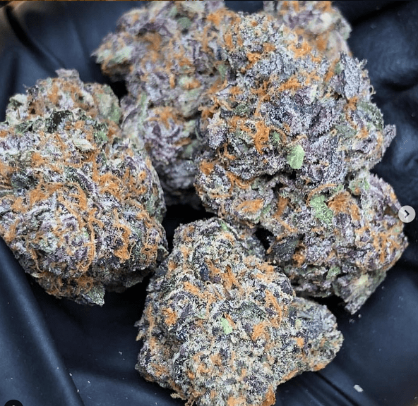 Gelato #41 Premium 3.5g Jar from Connected Cannabis Co.