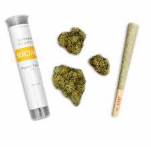 Cannabis Counter Melted Strawberries .5g 2pk