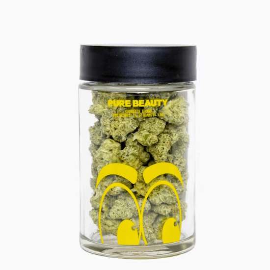 Mango Mintality | Indoor
