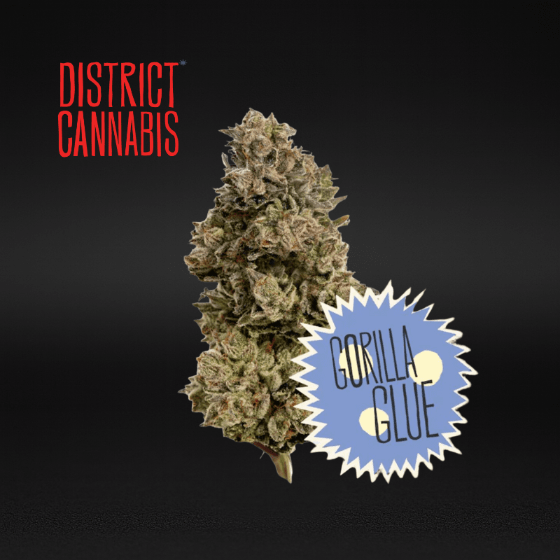 District Cannabis | Gorilla Glue #4 - Flower | 3.5g | Hybrid
