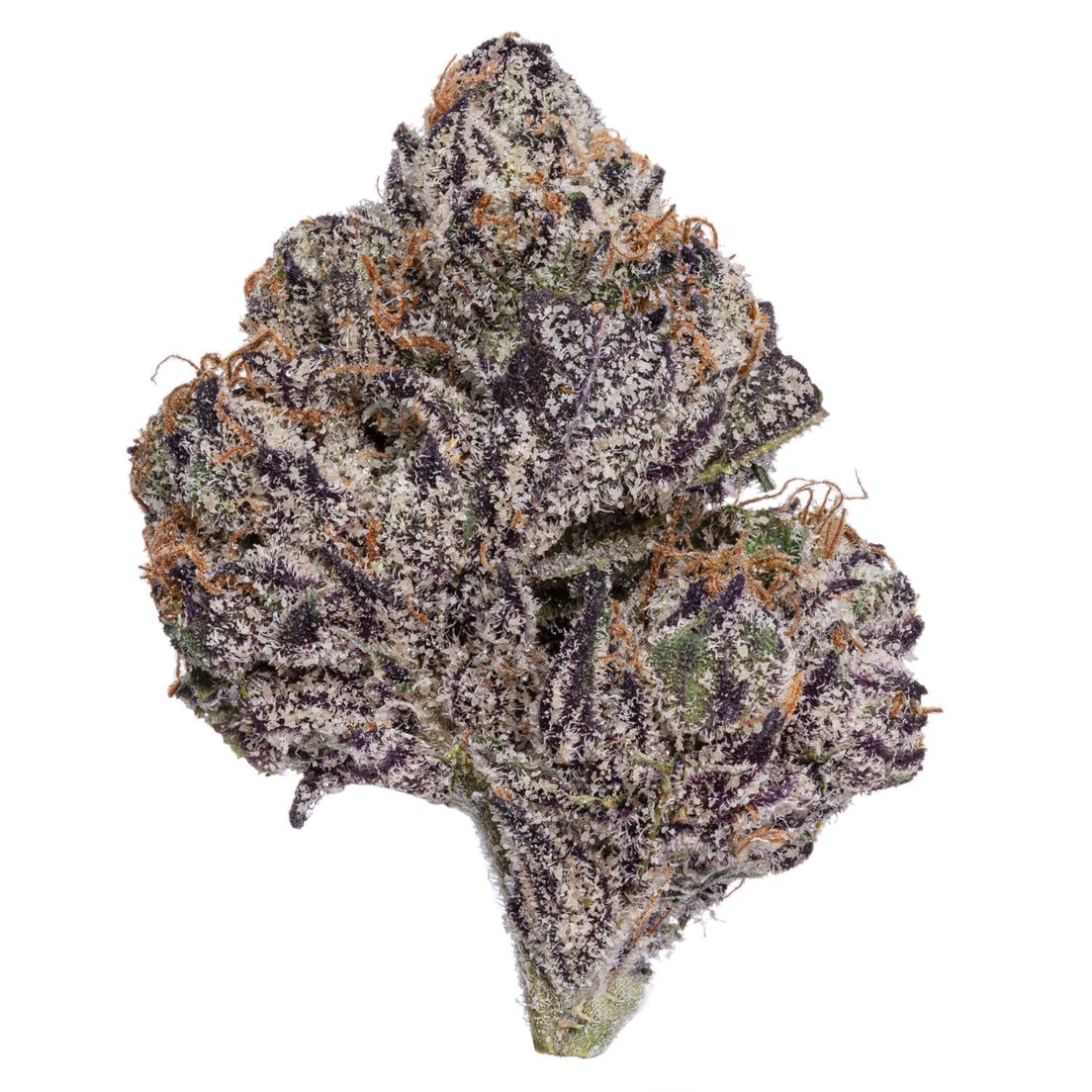Gold Standard Pharms Flower 3.5g - Blue Benjamin 25%