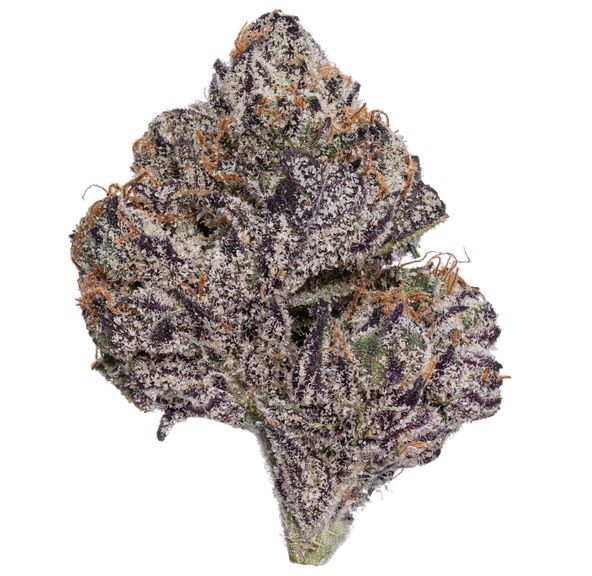 Gold Standard Pharms Flower 3.5g - Blue Benjamin 25%