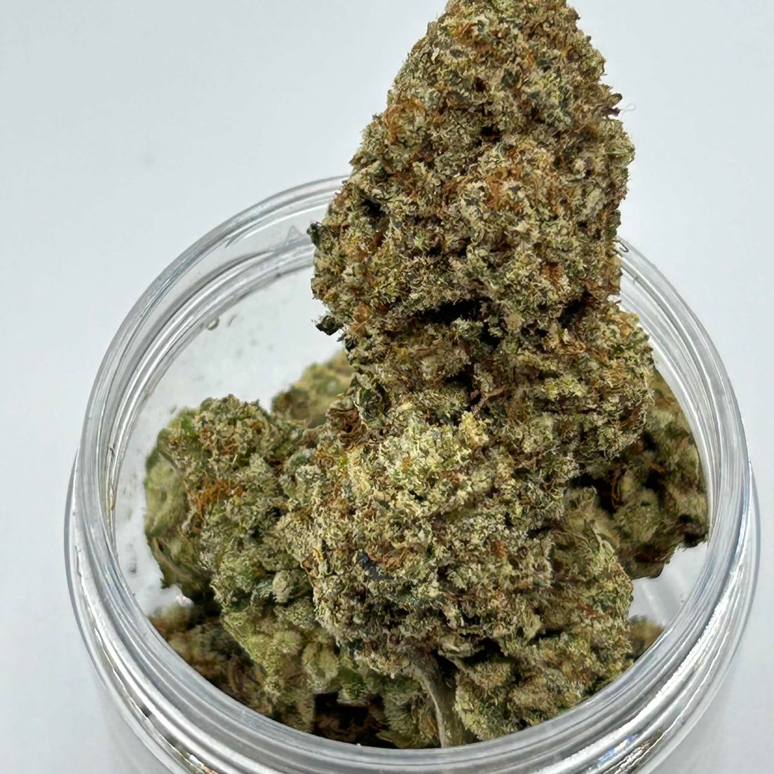 Garlic Snake Breath
