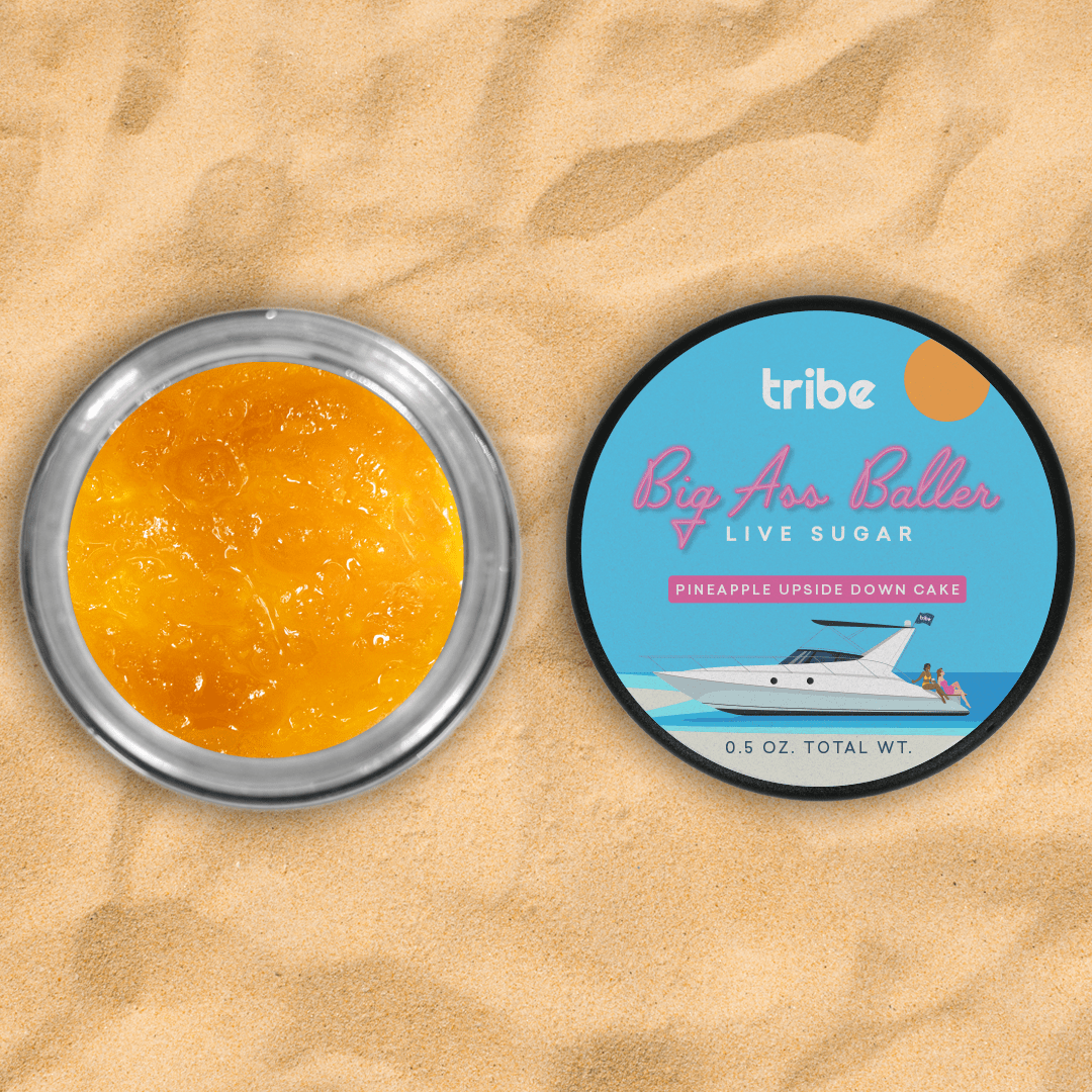 TRIBE PINEAPPLE UPSIDE DOWN CAKE LIVE SUGAR BALLER JAR 14G