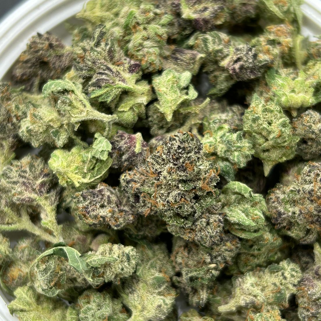 Blue Cookies - Smalls -Tier 4