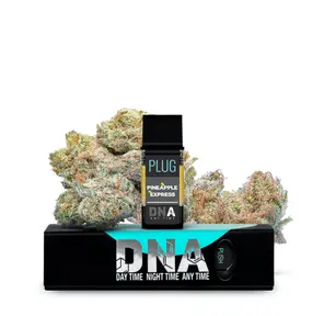 PLUGplay DNA Plugs Vape Pineapple Express Pod 1g