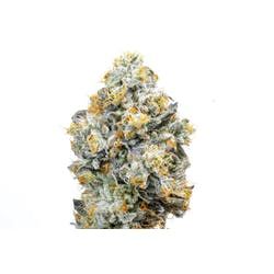 ALIEN LABS - 3.5G BAKLAVA OUTDOOR