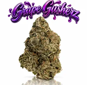 GRAPE GUSHERZ - 14G | INDOOR FLOWER