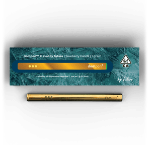 Dompen- Evol by Future Blueberry Bandz Disposable 1g (H)