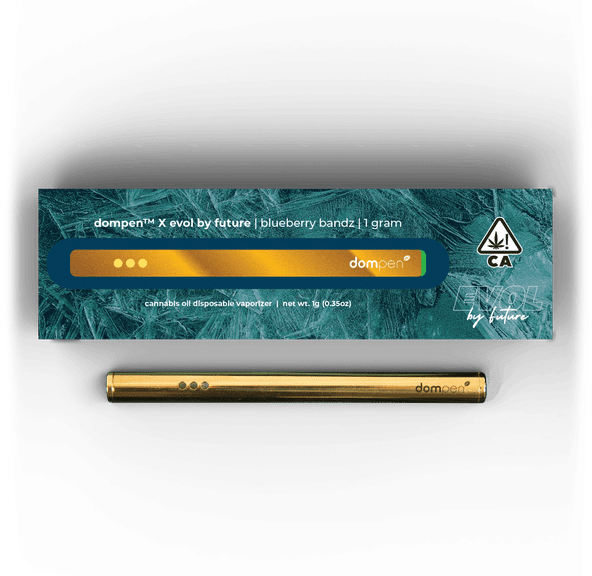 Dompen- Evol by Future Blueberry Bandz Disposable 1g (H)