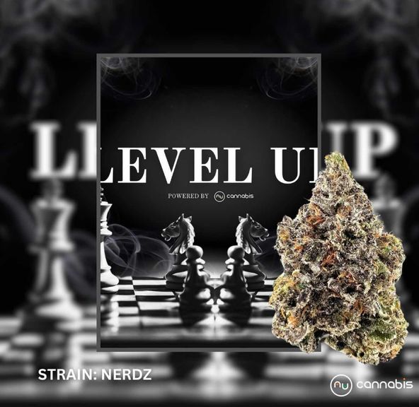 Level Up - NERDZ 3.5G - PREMIUM FLOWERS