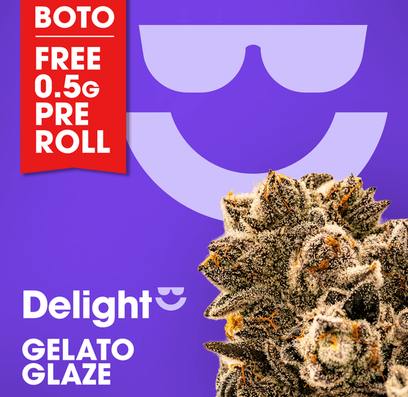 Delight | Gelato Glaze | 3.5g Flower
