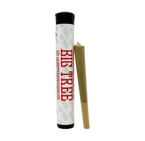 1g Banana Milk (Single) Pre Roll - BIG TREE
