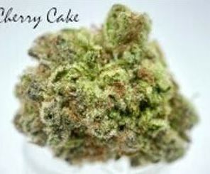 14g Cherry Cake by Green Dragon