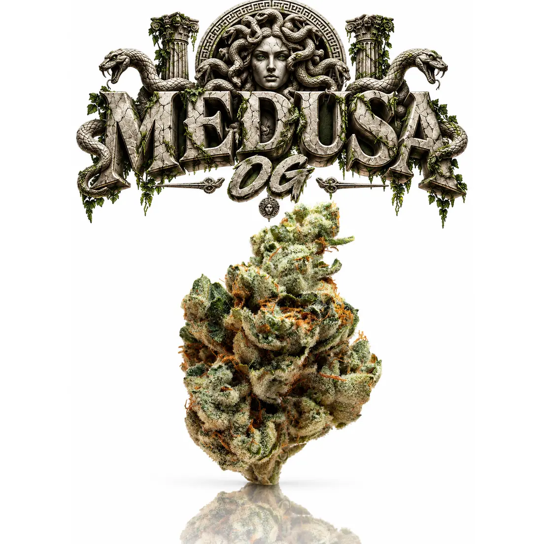 MEDUSA OG - 14G | INDOOR FLOWER | INDICA