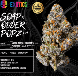 BOSKY- 3.5 SOAP X ODDER POPZ #29