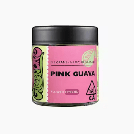 Pink Guava - Indoor