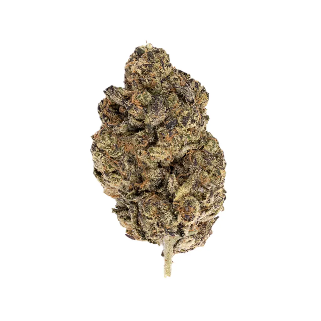 Blueberry Gary (Exotic)