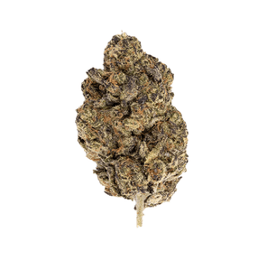 Blueberry Gary (Exotic)