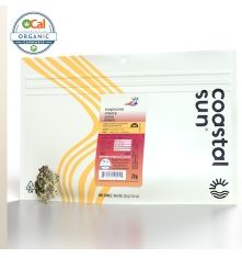 Coastal Sun - Tropicanna Cherry 28g