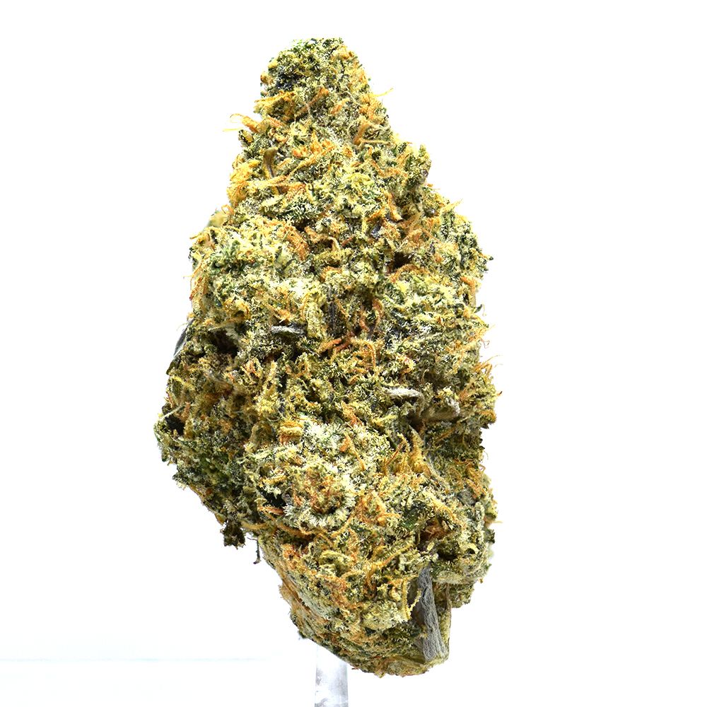 Animal Cookies | $100/oz