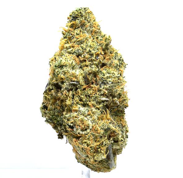 Animal Cookies | $100/oz