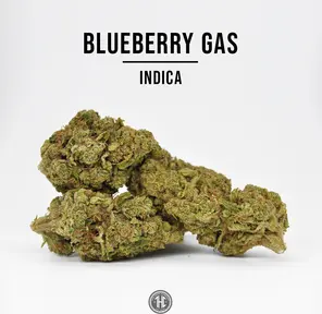 THCa Hemp Flower, Blueberry Gas