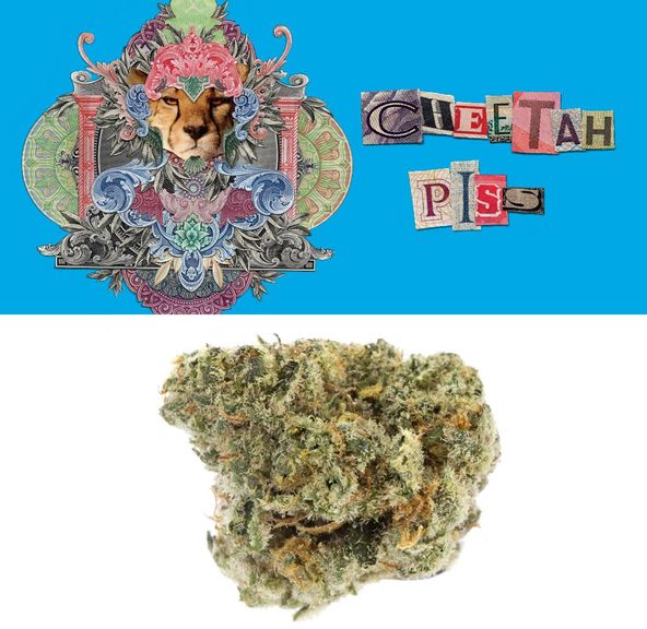 COOKIES - CHEETAH PISS LIGHT DEP 3.5G