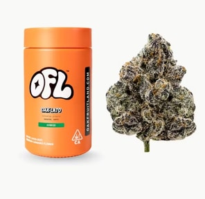 Oak-lato Jar