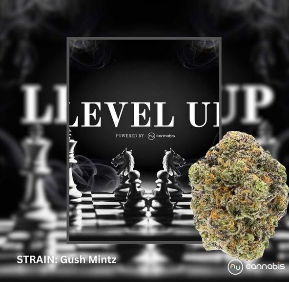 Level Up - Gush Mintz 14G - PREMIUM FLOWERS