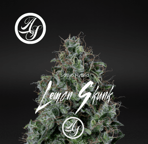 Alt Sol | Lemon Skunk - Flower | 3.5g | Sativa-Hybrid