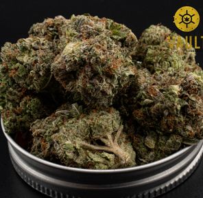 AAAA | PINK GOTTI ⭐️ NEW ARRIVAL ⭐️