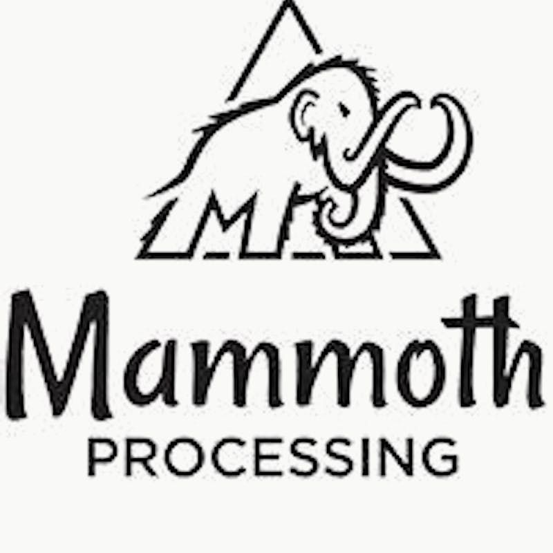 Mammoth CARMELITA - 2G VAPE