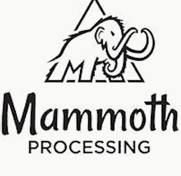 Mammoth CARMELITA - 2G VAPE