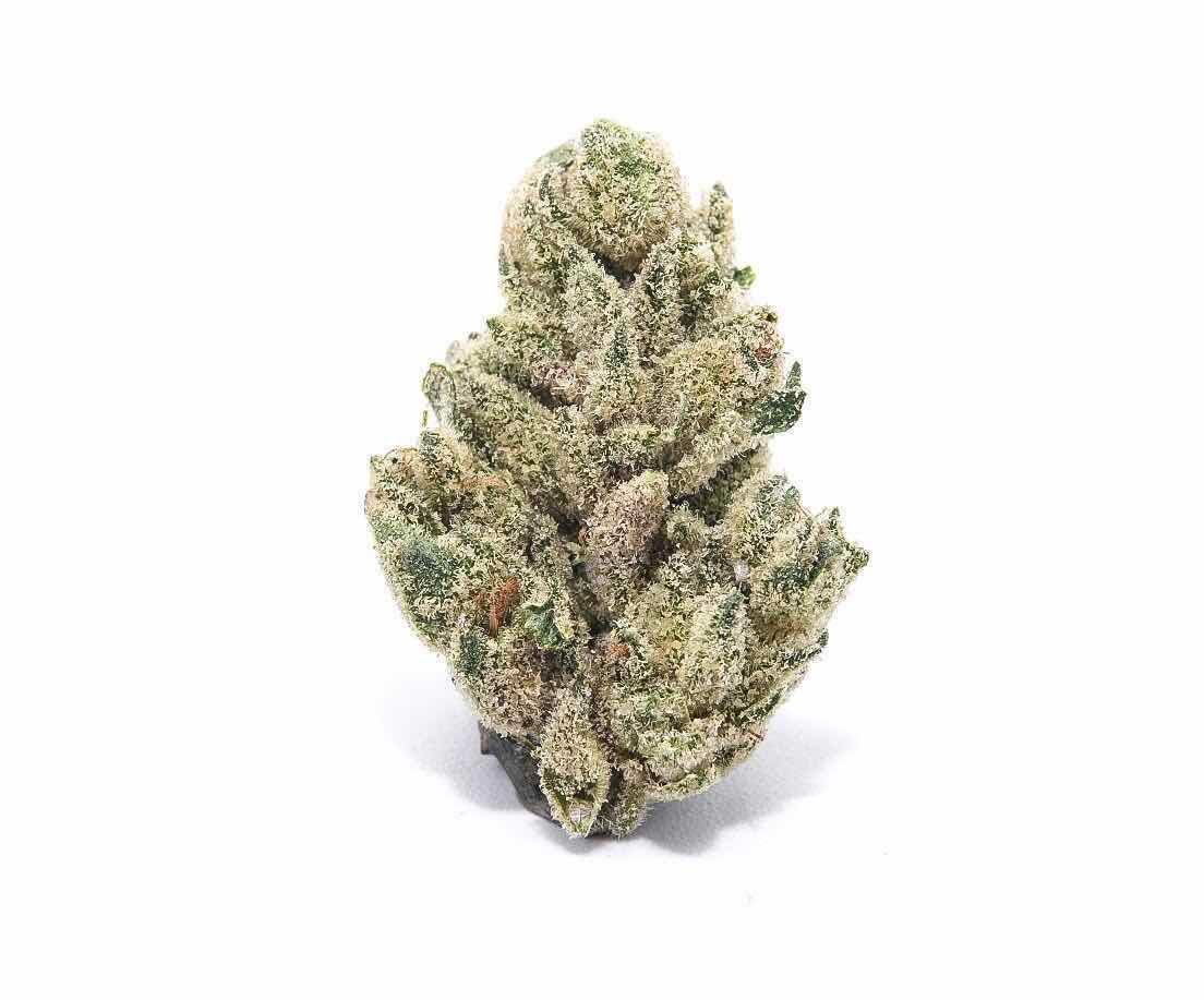 EX. Boss OG 3.5g - HIGH GARDEN