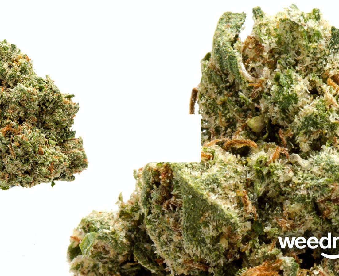 Blazing Ape OG Kush