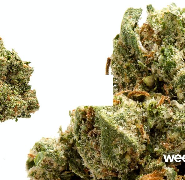 Blazing Ape OG Kush