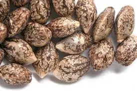 MediKind Seeds - Assorted - 10pk